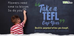 gap year good idea tefl teach abroad online teacher